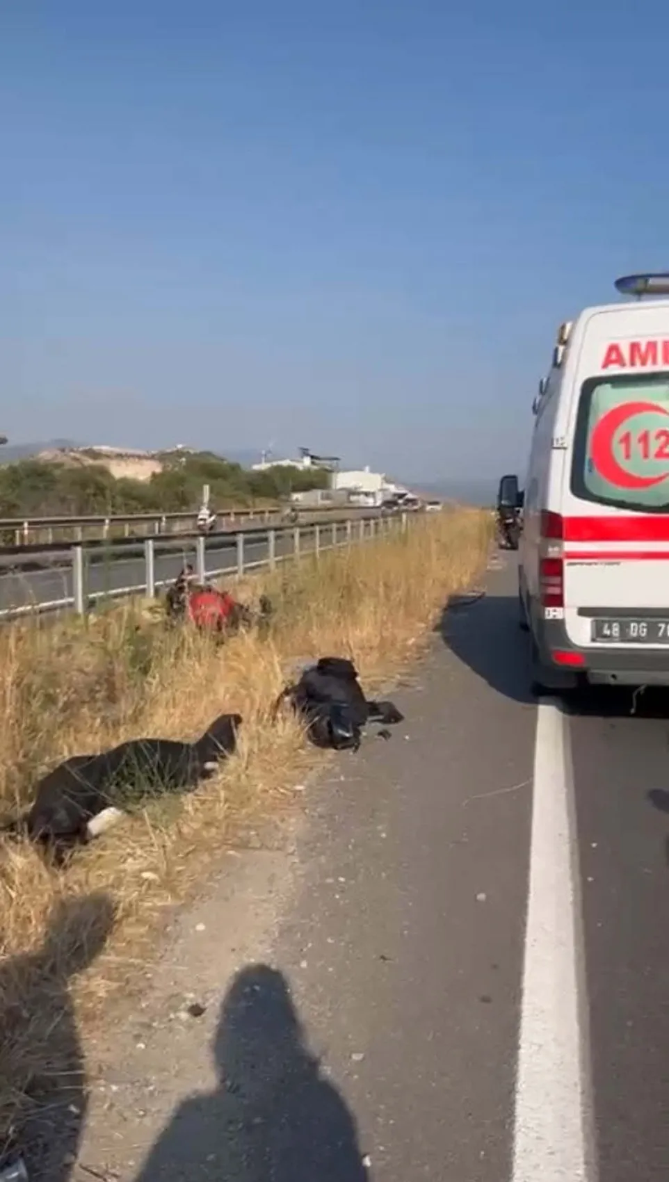 Dünya turuna çıkan ünlü fenomenin son yolculuğu: Mahkemeden çıkan karar aileyi tatmin etmedi