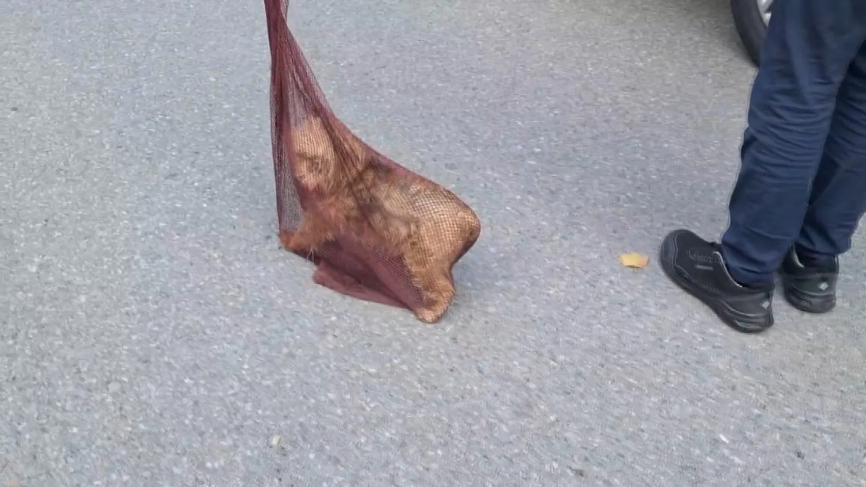 Maltepe'de otoparkta korku dolu anlar: Sürücü ve köpeği aynı araçta sıkıştı