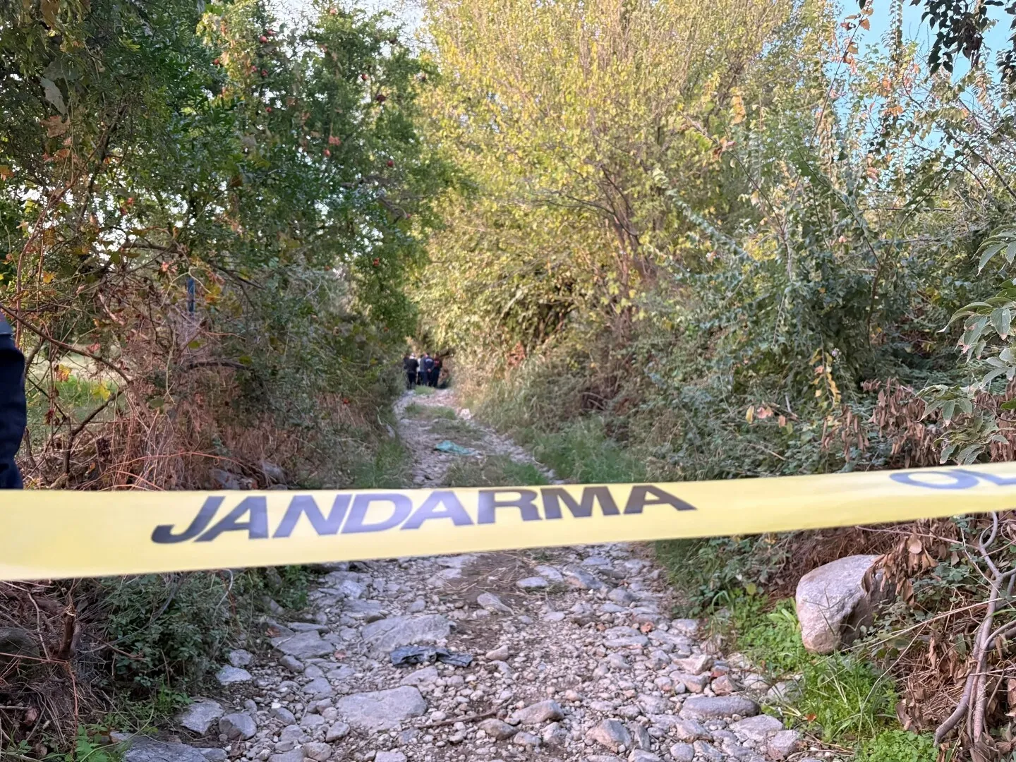 Nazilli'de şüpheli ölüm: Otlatmaya çıktığı arazide cansız bedeni bulundu