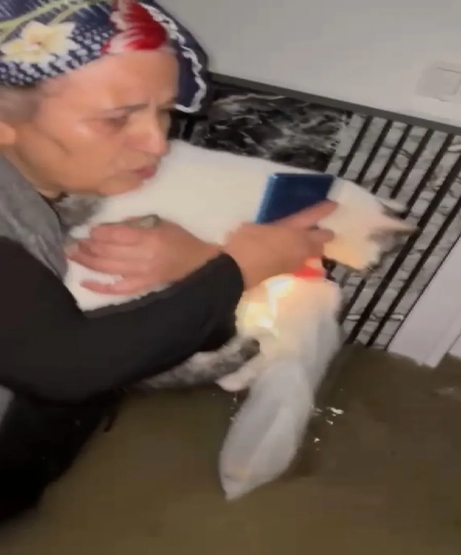Arnavutköy'de dere taştı, muhtarın fedakarlığı felaketi önledi