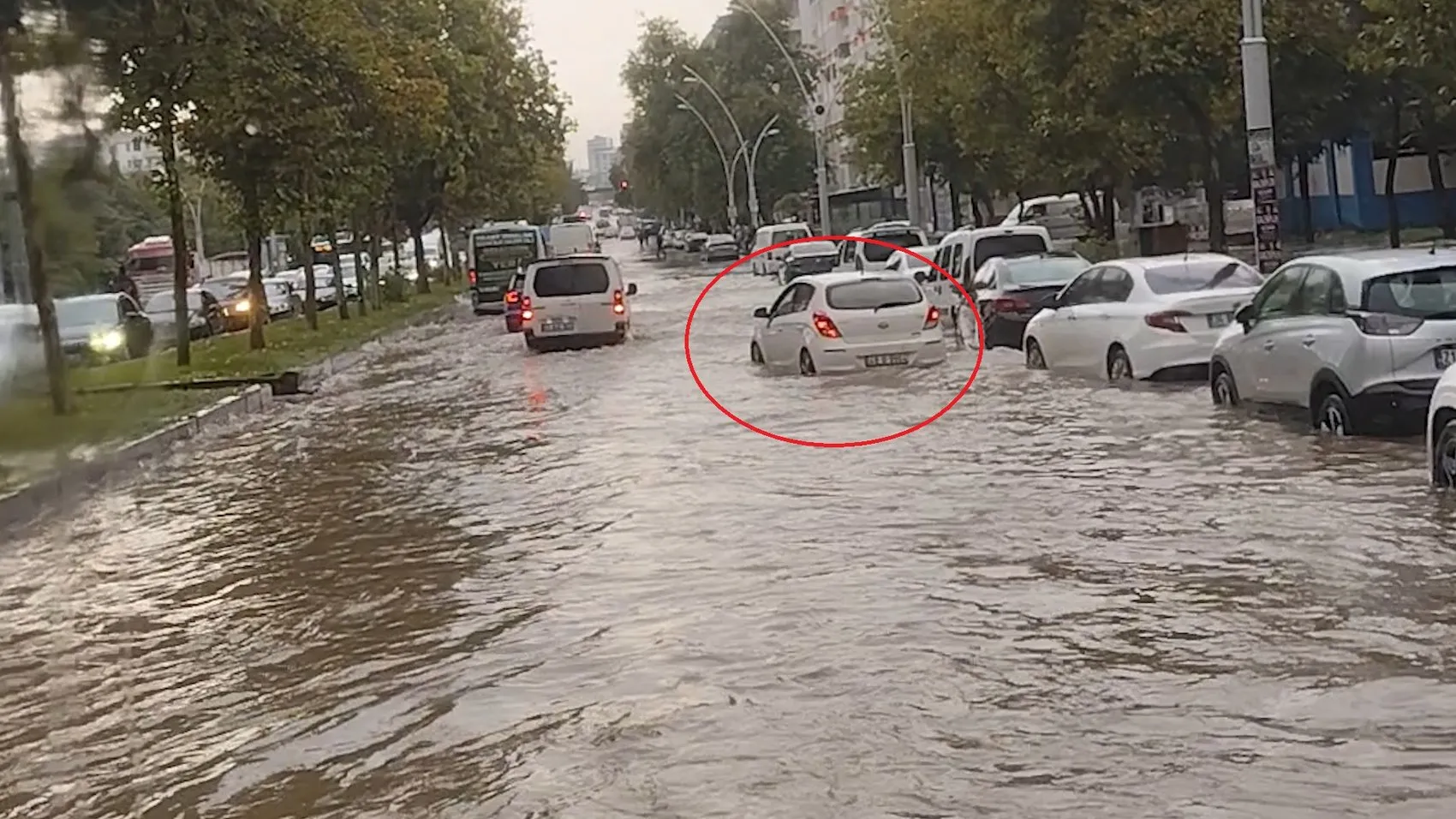 Diyarbakır'da şaşkına çeviren görüntü: Otomobiline dolan suyu bardakla boşalttı