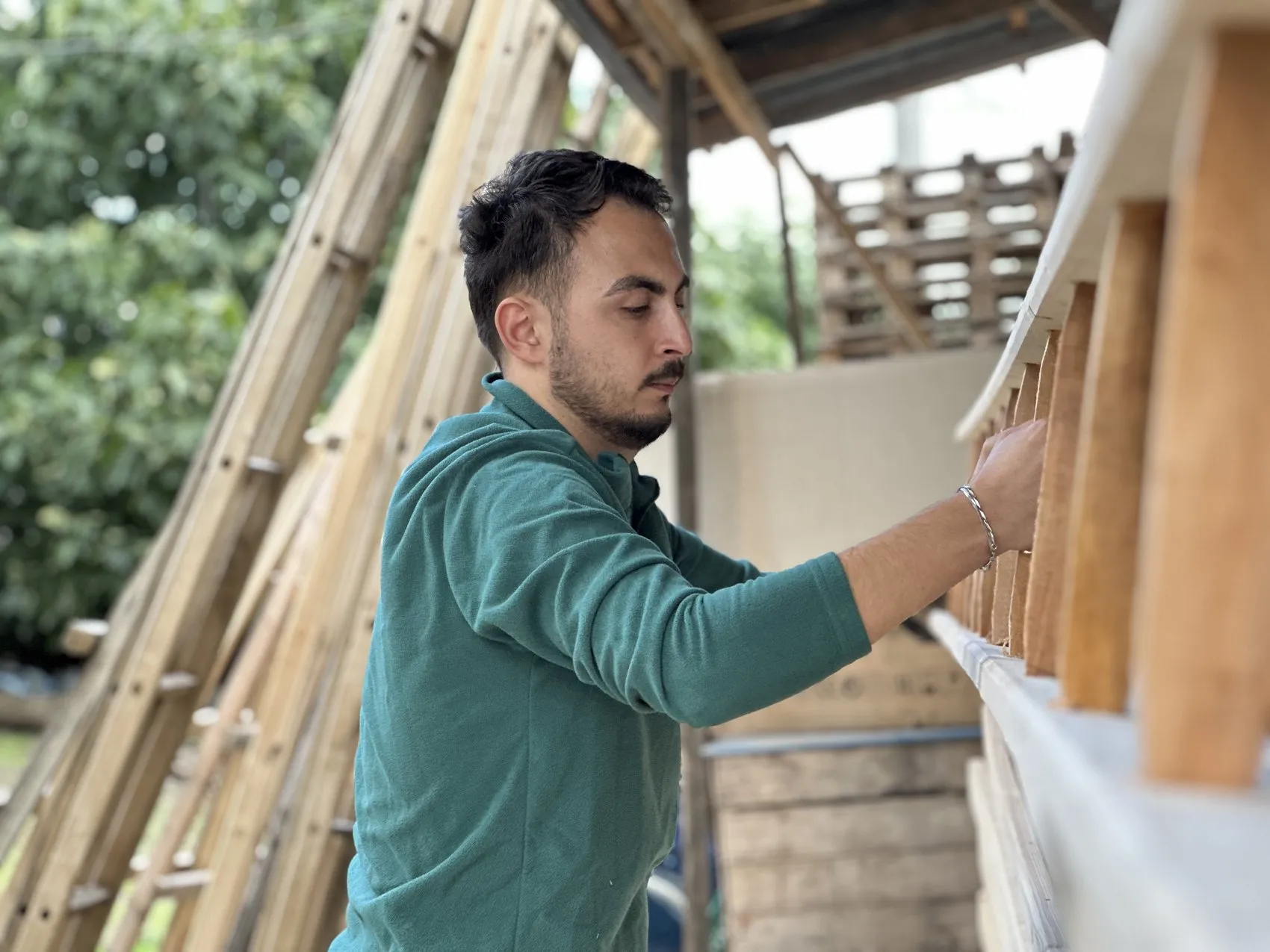 Teknolojiye meydan okuyan gelenek: Zeytin hasadında ahşap merdiven vazgeçilmez oldu