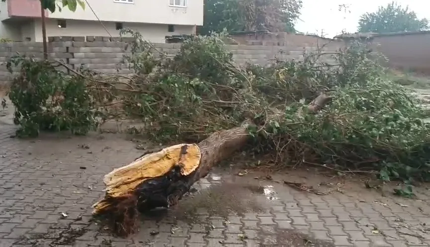 Diyarbakır'da korkutan anlar: Minare evin üzerine böyle çöktü