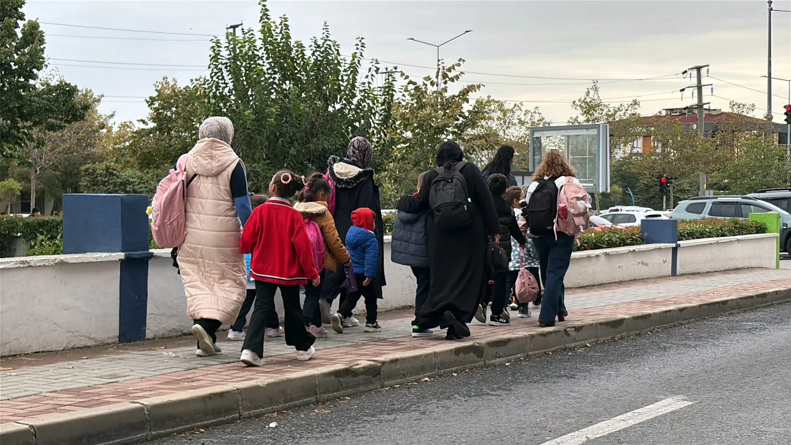 Sokak hayvanlarının tırmalaması basit bir yaralanma değil: Hayati tehlikeyi hafife almayın