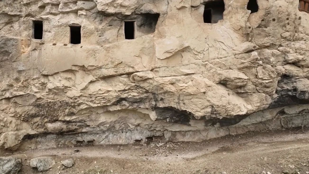 Tarihi İn Delikleri'nde şaşırtan misafirler: Urartu mirasına yaban keçileri konuk oldu