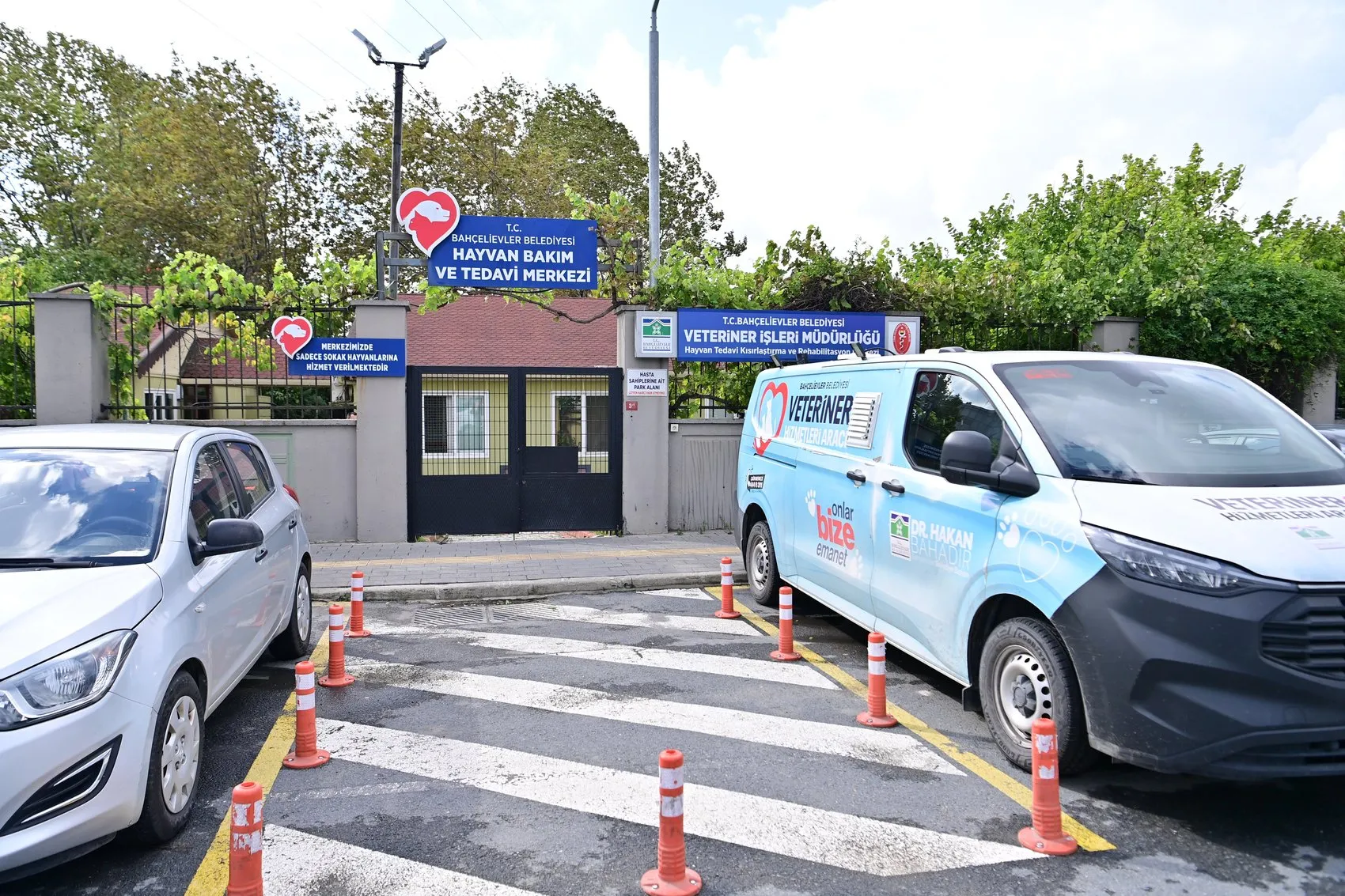 Bahçelievler'de sokak hayvanları için dev seferberlik: 9 ayda binlerce cana dokunuldu