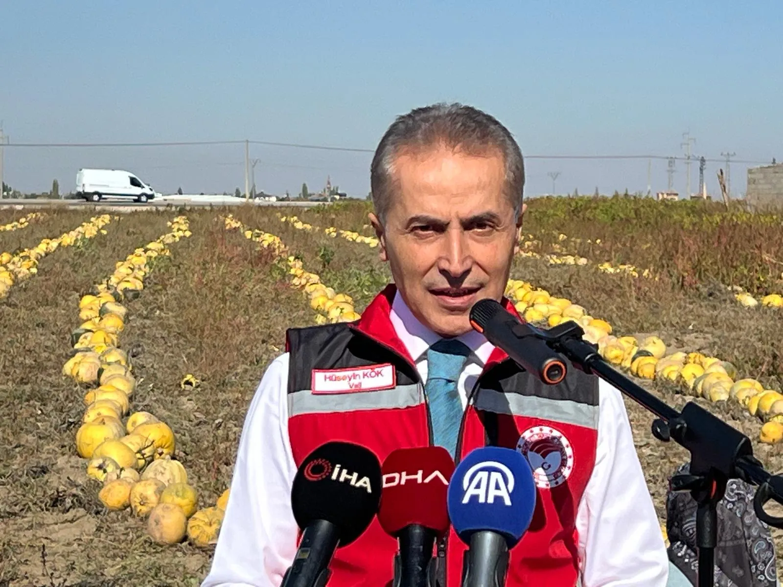 Nevşehir'in altın sarısı hasadı: Coğrafi işaretli çekirdekler tarladan sofraya iniyor