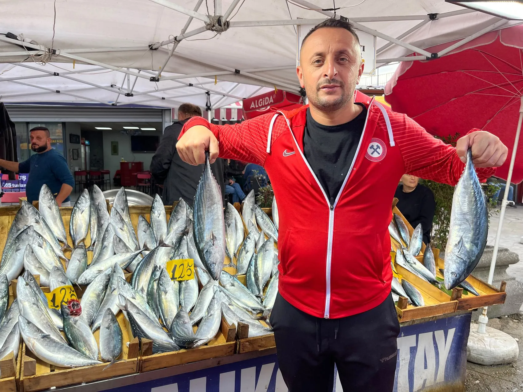 Karadeniz'de bereketli sezon: Bir ayda bin ton balık ağlara takıldı