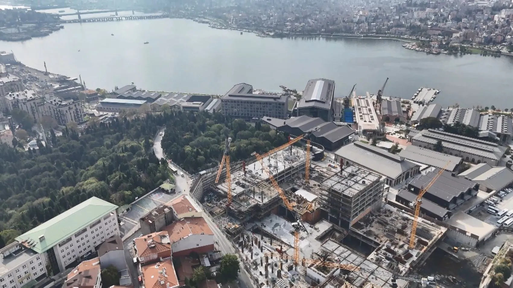 Modern yapılaşmanın ortasında direnen doğa: Haliç'teki devasa inşaat sahasında yalnız bir nöbetçi