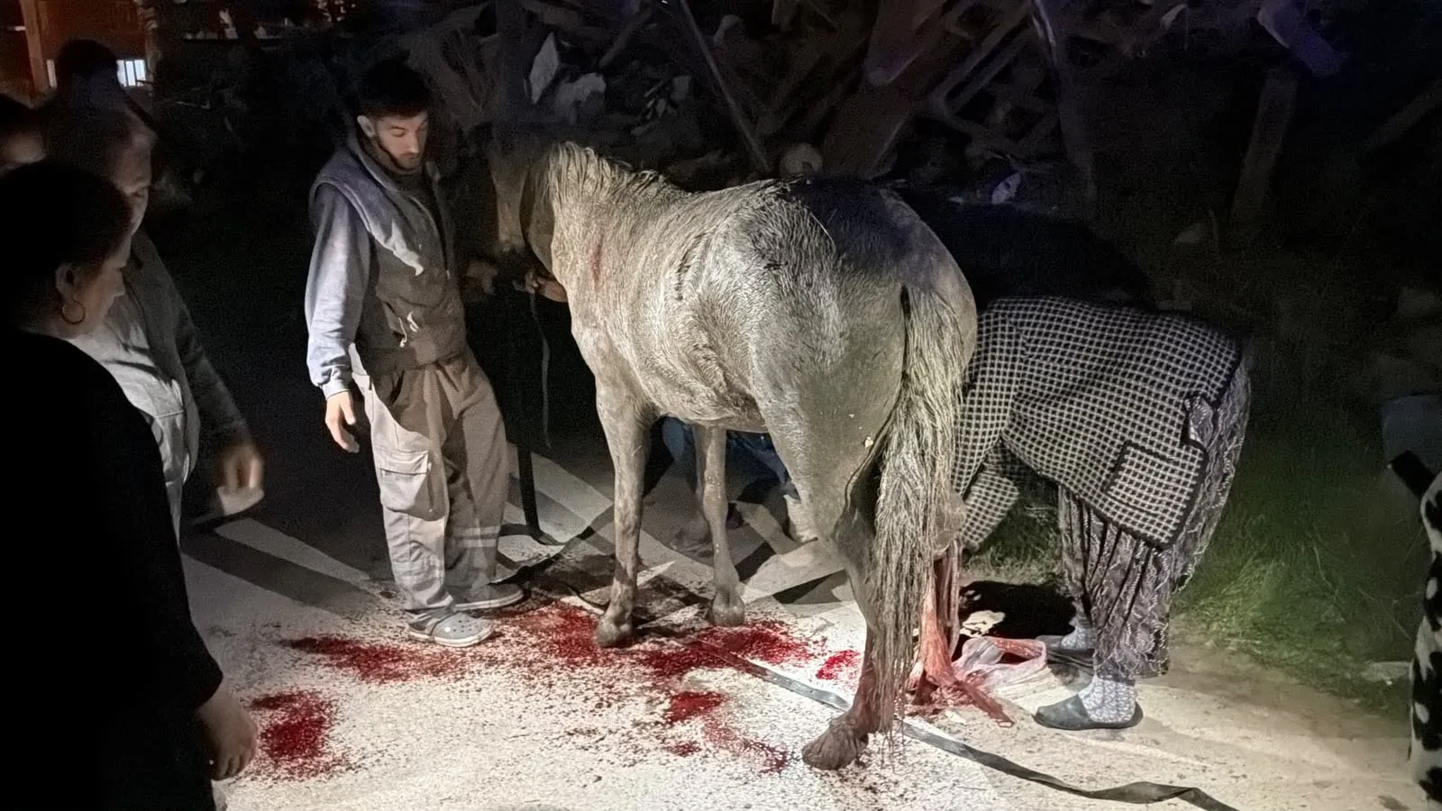 Eskişehir'de korku dolu anlar: Foseptiğe düşen at için seferberlik