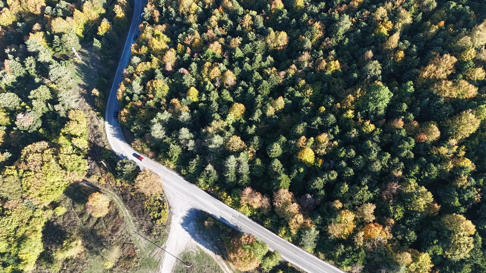 Bolu ormanlarında mevsimin en büyüleyici dönüşümü başladı