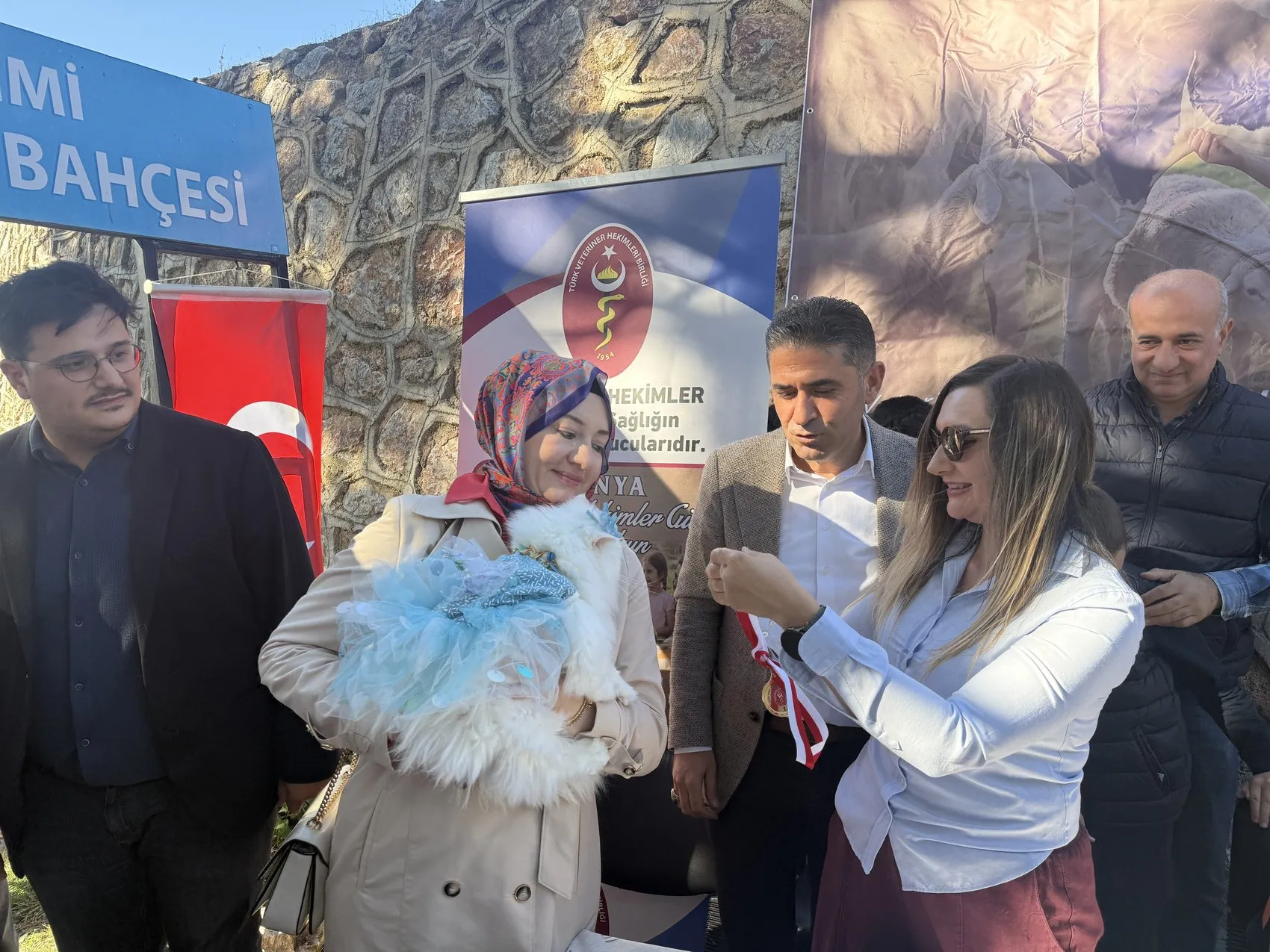 Tokat'ta podyumun yeni yıldızları: En süslü ve en bakımlı kediler belli oldu