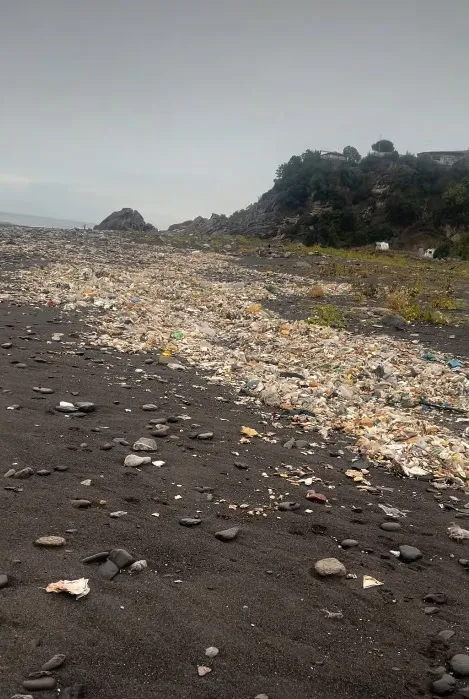 Zonguldak'ta sağanak sonrası sahilin acı tablosu: Deniz kustu