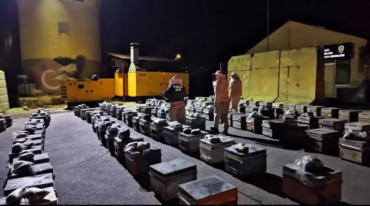 Arı kovanlarının arasına gizlenmiş zehir sevkiyatı: Polis şaşkına çeviren yöntemi deşifre etti