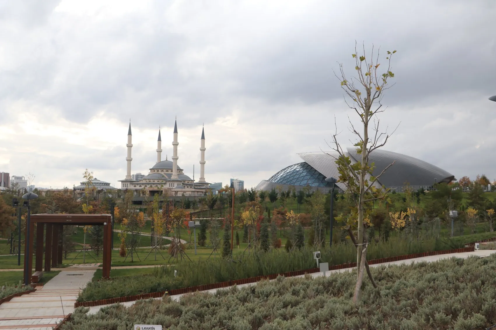 Ankara'nın kalbinde devasa yeşil dönüşüm: 24 milyon yıllık tarihle buluşma vakti