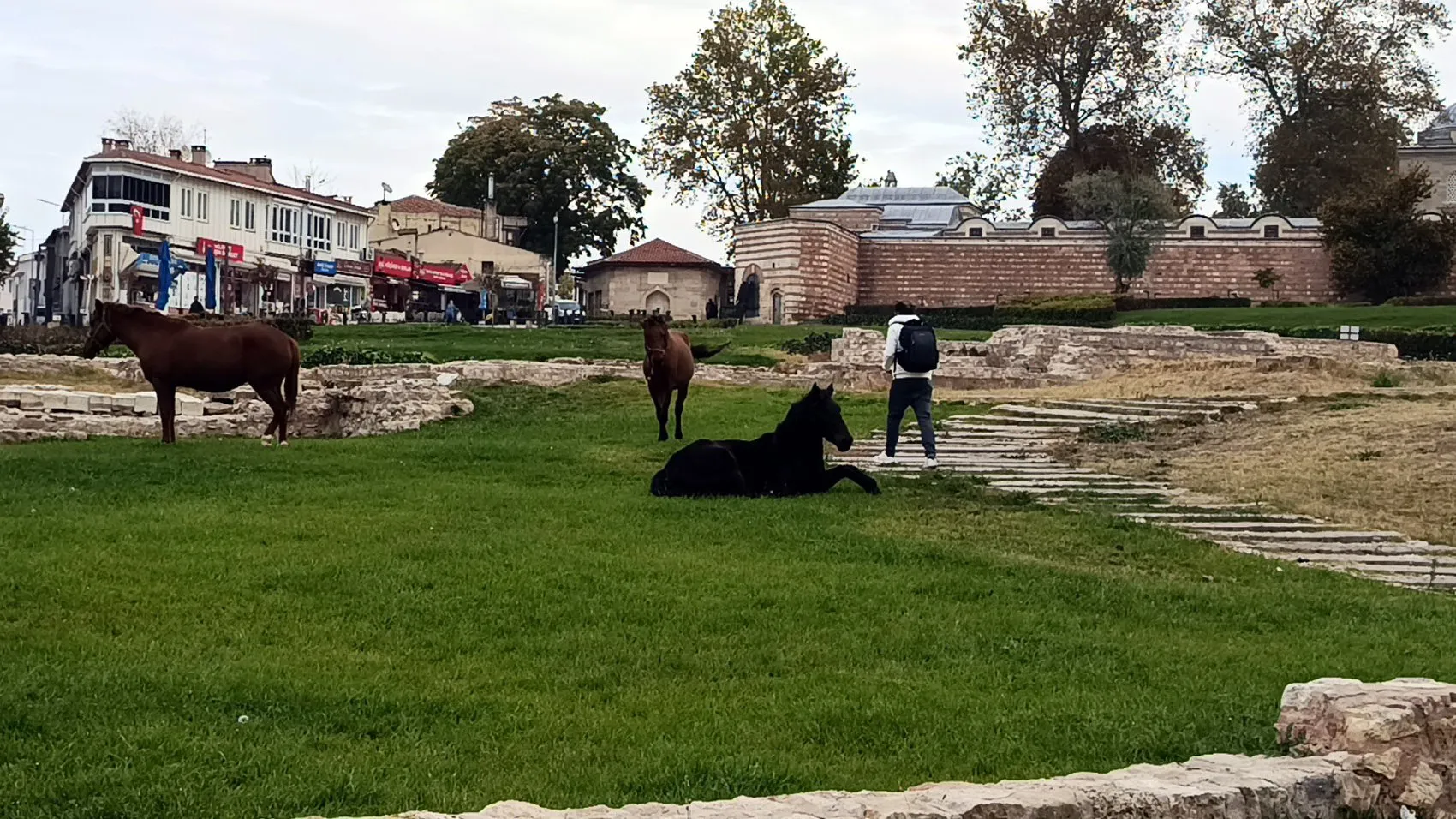 Mimar Sinan'ın şaheseri Selimiye'de beklenmedik ziyaretçiler: Turistler şaşkın