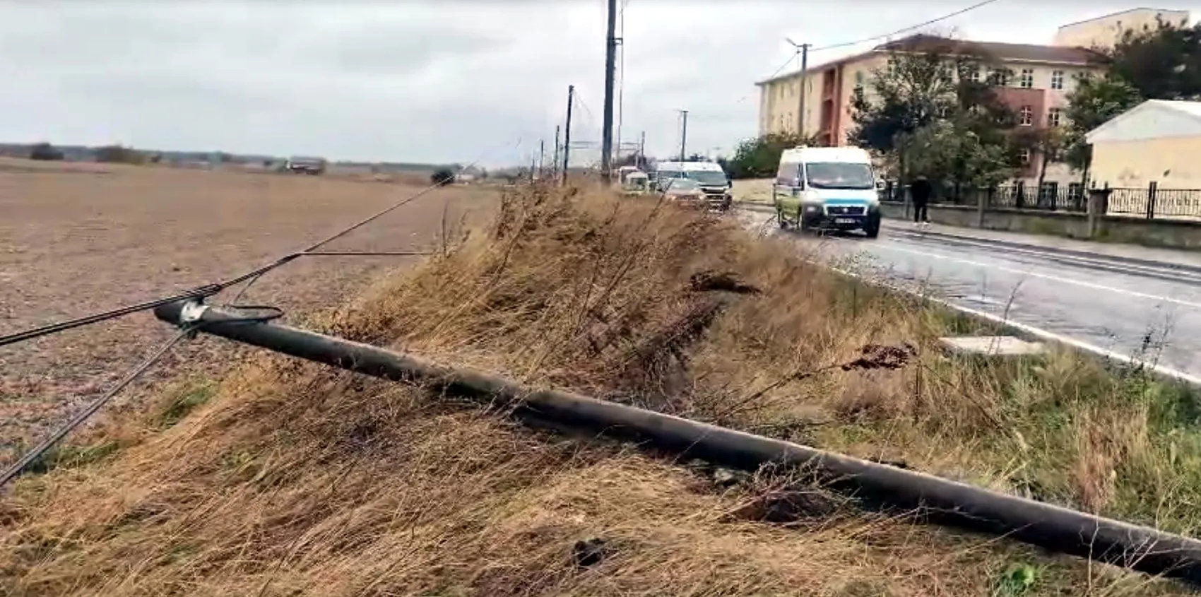 Tekirdağ'da fırtına hayatı felç etti: Devrilen ağaçlar ve direkler ulaşımı aksattı