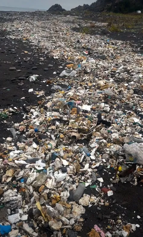 Zonguldak'ta sağanak sonrası sahilin acı tablosu: Deniz kustu