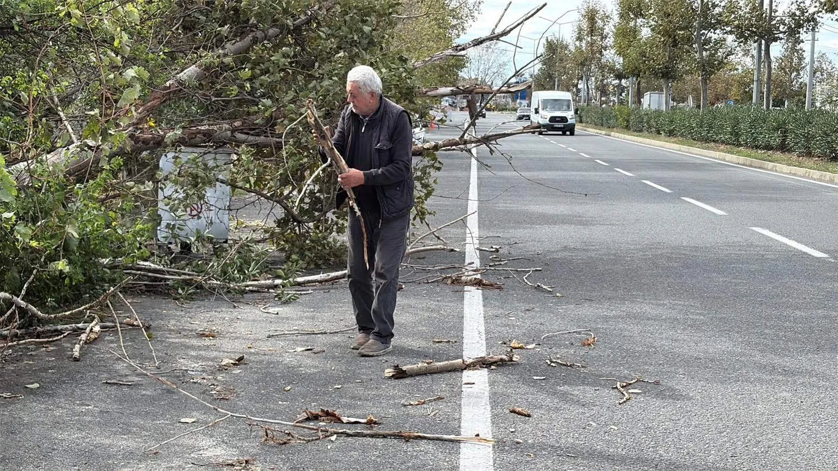 Tekirdağ'da fırtına hayatı felç etti: Devrilen ağaçlar ve direkler ulaşımı aksattı