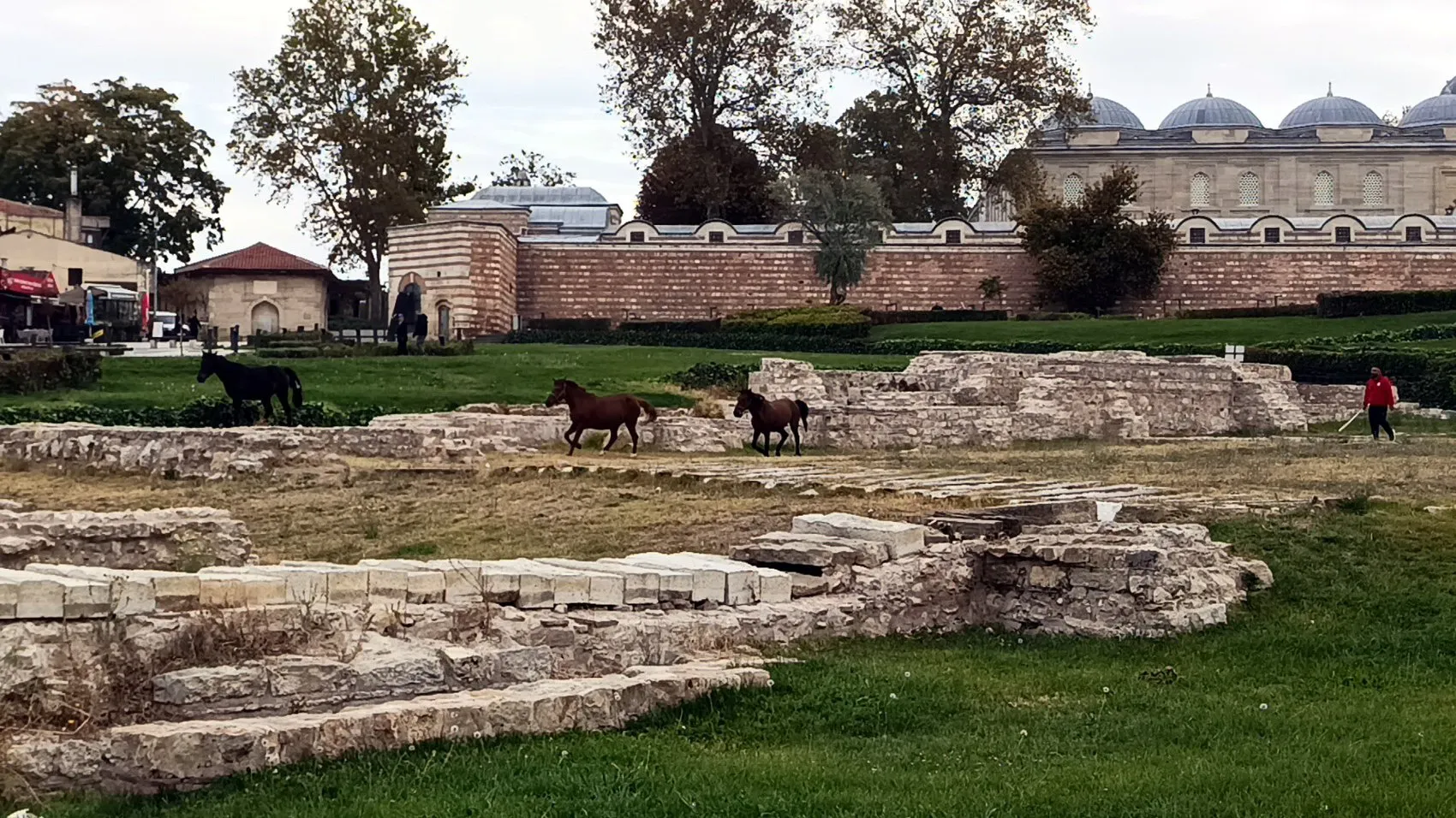 Mimar Sinan'ın şaheseri Selimiye'de beklenmedik ziyaretçiler: Turistler şaşkın