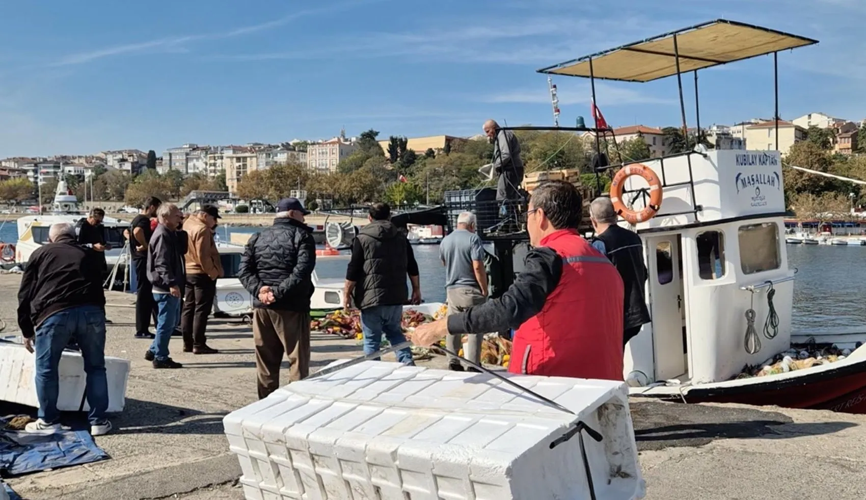 Marmara'da yüzleri güldüren bereket: Tek bir ağdan 1,5 ton çıktı
