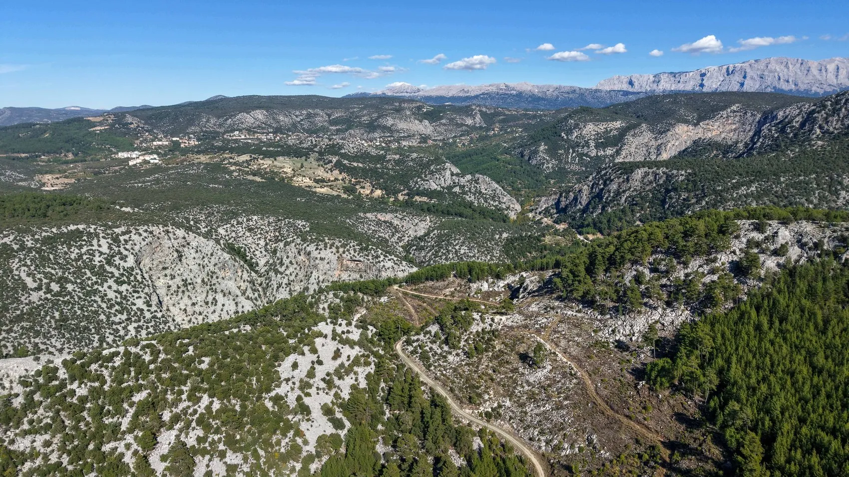 Yazılı Kanyon'da trajedi: Eğitim için geldikleri bölgede dere sularına kapılan gönüllü hayatını kaybetti