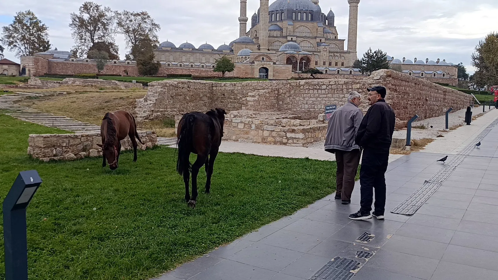 Mimar Sinan'ın şaheseri Selimiye'de beklenmedik ziyaretçiler: Turistler şaşkın