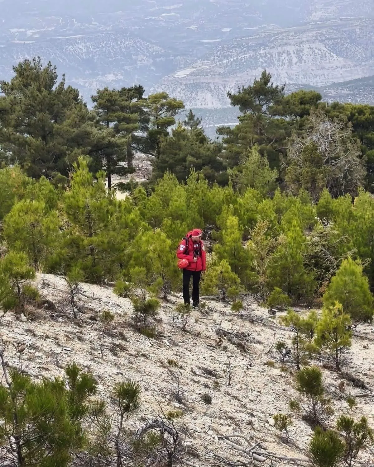 Mersin'de iki gündür aranan Nesrin Candan'dan acı haber geldi