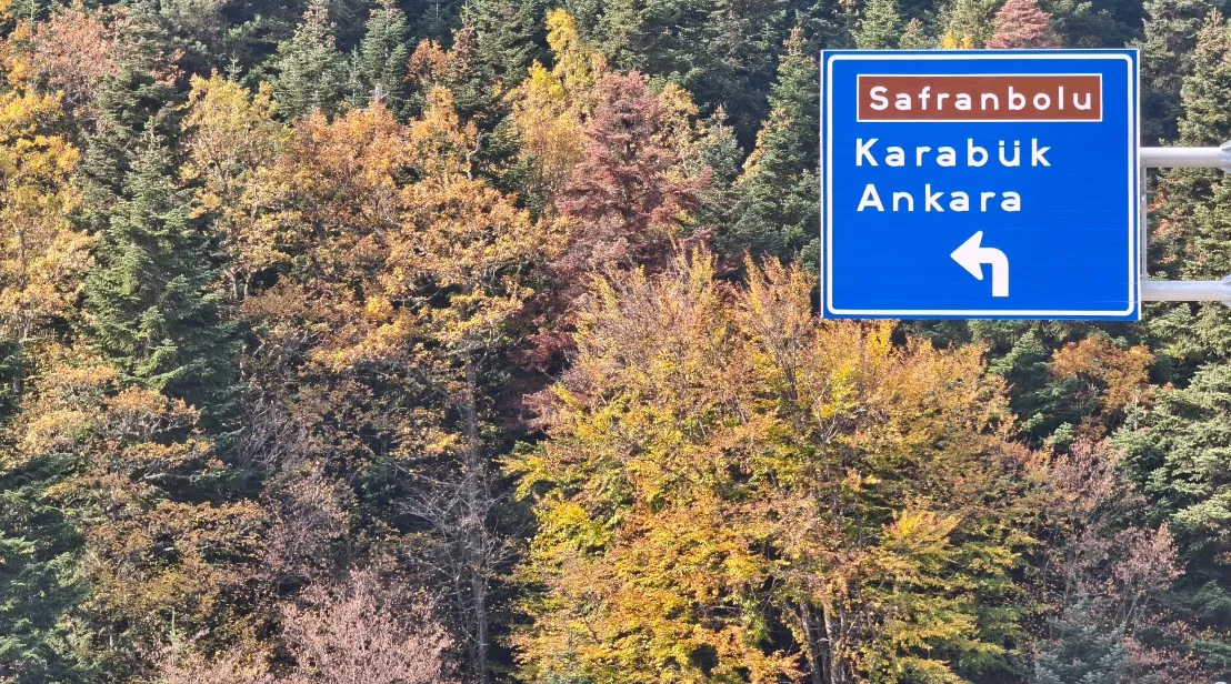 Karabük'ün devasa ormanlarında mevsim geçişi: Doğa renk değiştirdi