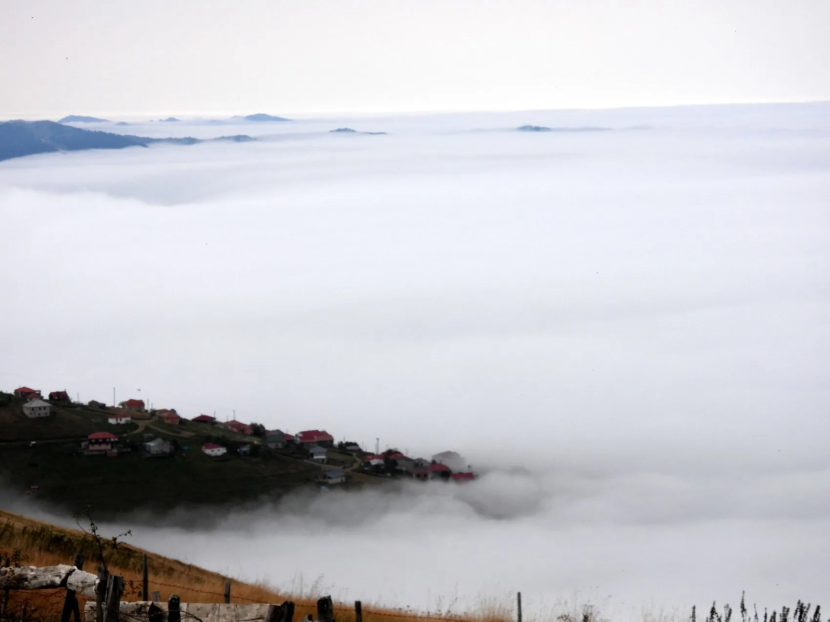 Karadeniz'in zirvesinde masalsı anlar: Sis bulutu yaylayı yuttu