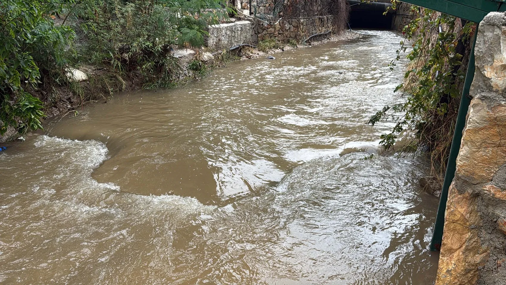 Bodrum'da kabus dolu anlar: Hamile kadın sel sularının arasında mahsur kaldı