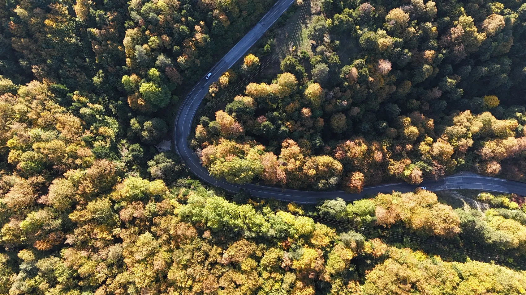 Bolu ormanlarında mevsimin en büyüleyici dönüşümü başladı