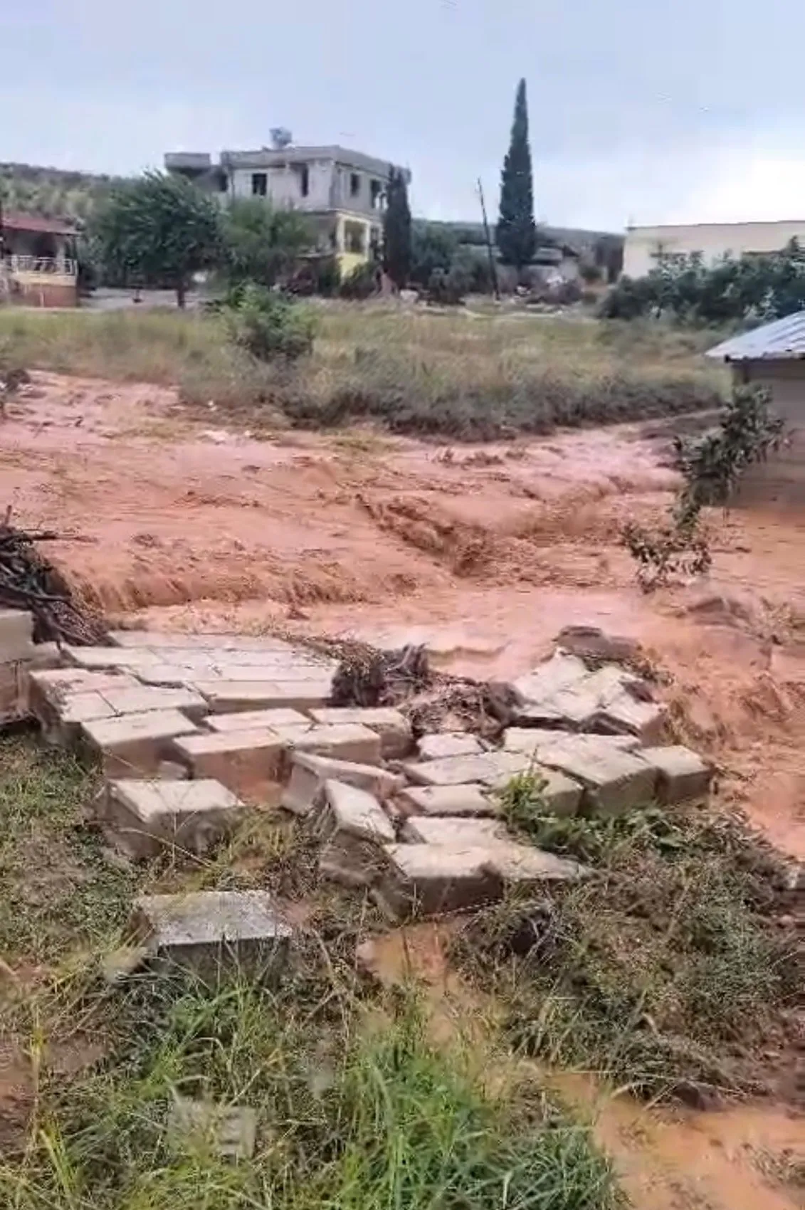 Reyhanlı'da çiftçinin kabusu bitmiyor: Bir haftada ikinci sel felaketi