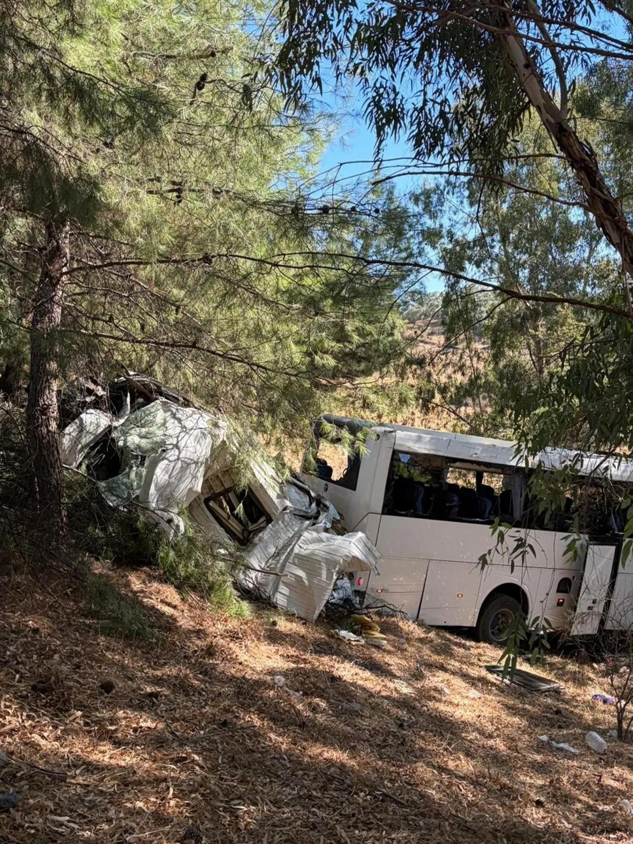 Aydın'da korkunç kaza: Bariyerleri aşan araçlar uçuruma sürüklendi