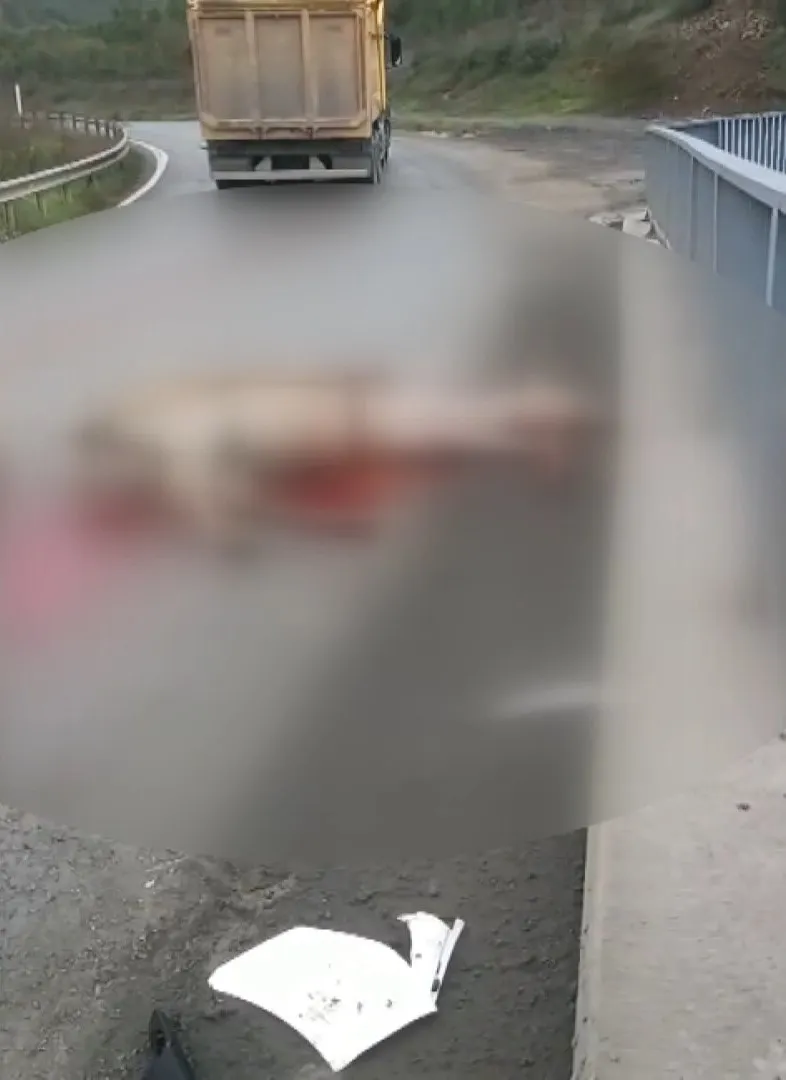 Arnavutköy'de dehşet anları: Otomobilin çarptığı atın bacağı araca saplandı