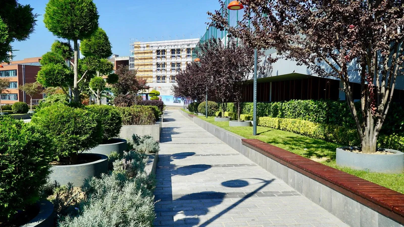 Kağıthane'de betonun yerini doğa aldı: Binlerce ağaçla yeni yaşam alanı