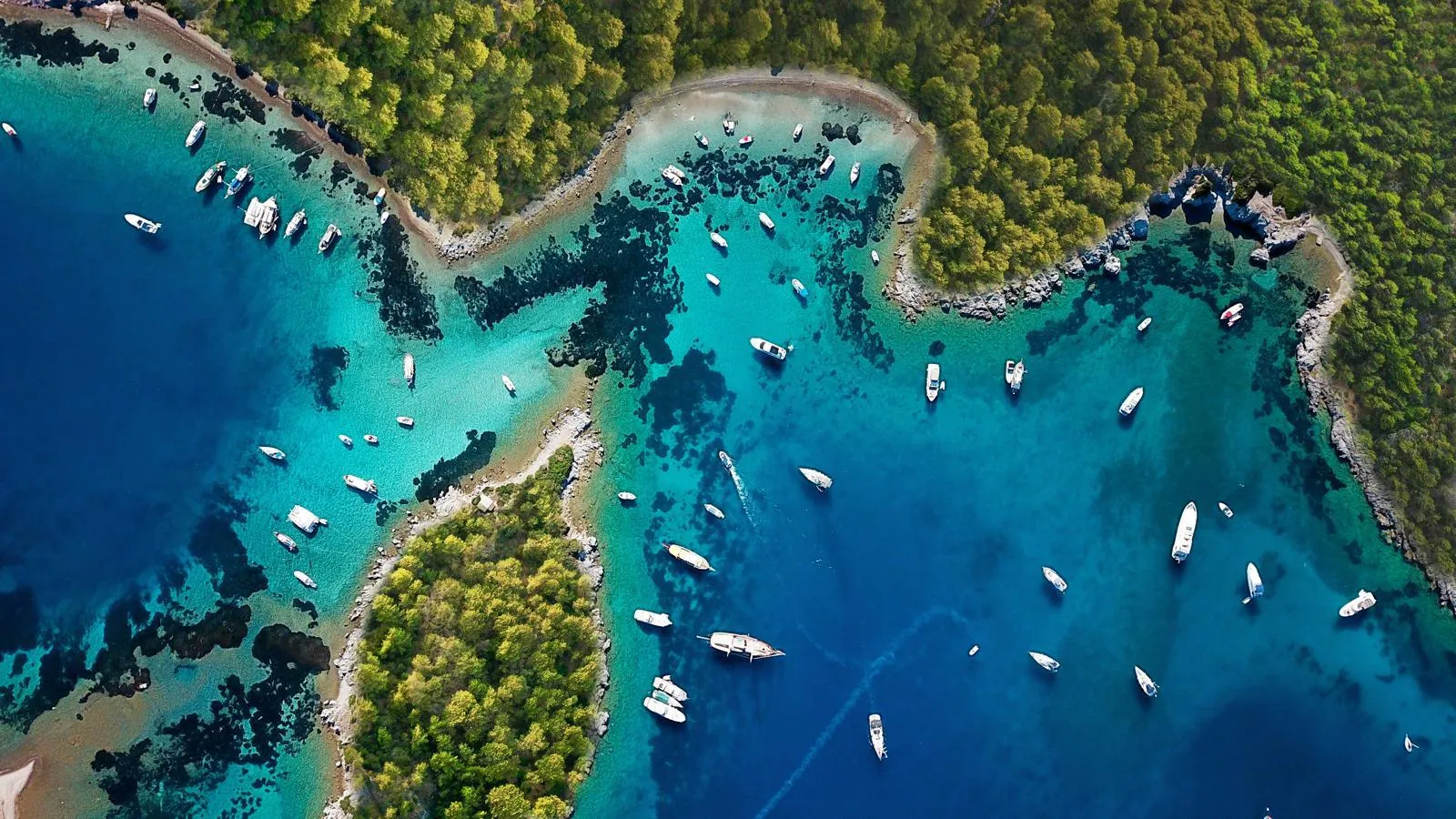 Dünya turizm devlerinden Türkiye'ye büyük onur: Üstün Liderlik ödülü Ankara'nın oldu