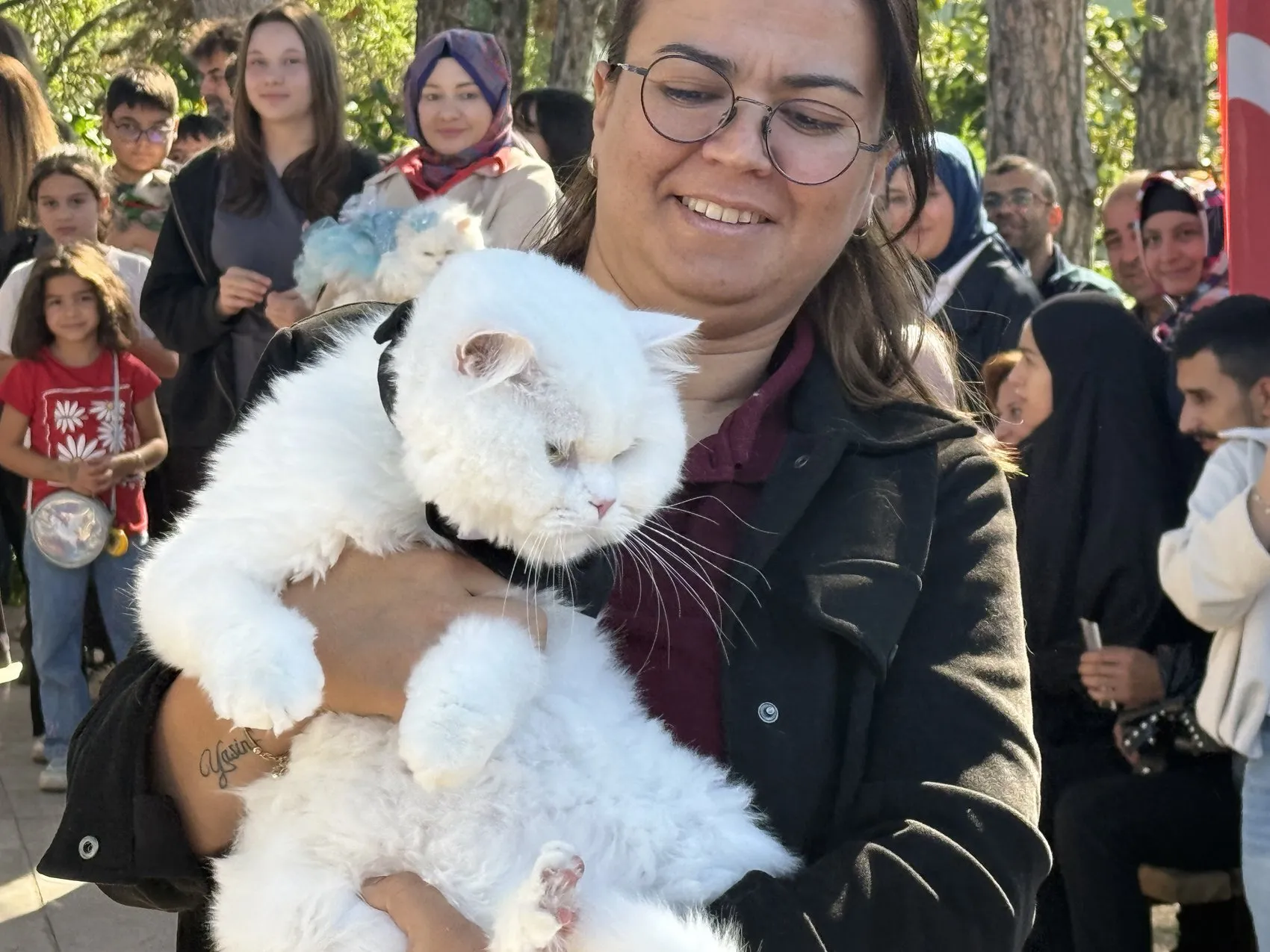 Tokat'ta podyumun yeni yıldızları: En süslü ve en bakımlı kediler belli oldu