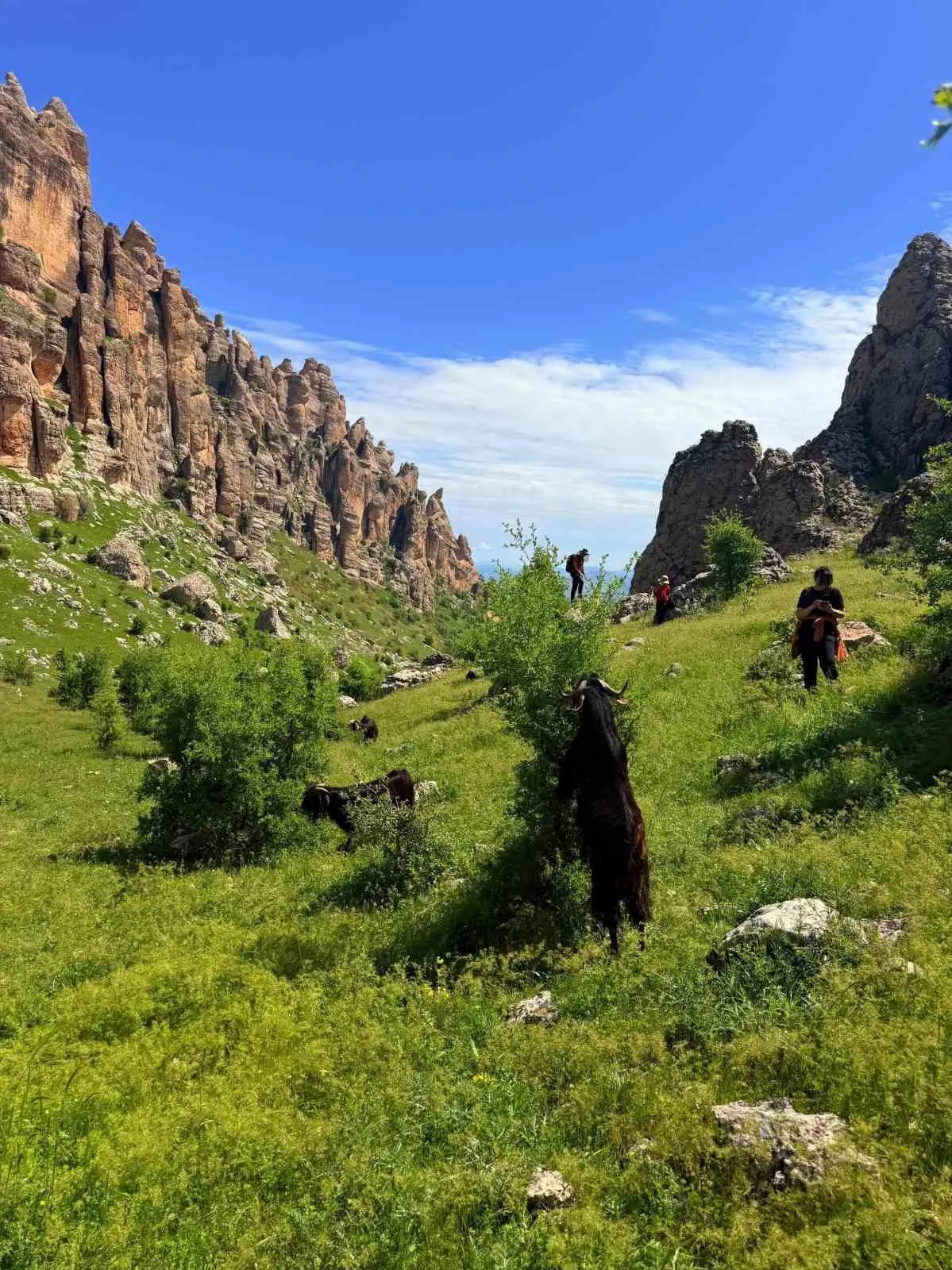 DOĞA VE TARİHİ GÜZELLİKLERİ İLE İSMİNDEN SÖZ ETTİREN DİYARBAKIR’IN ÇERMİK İLÇESİ, TURİST AĞIRLAMAYA DEVAM EDİYOR.