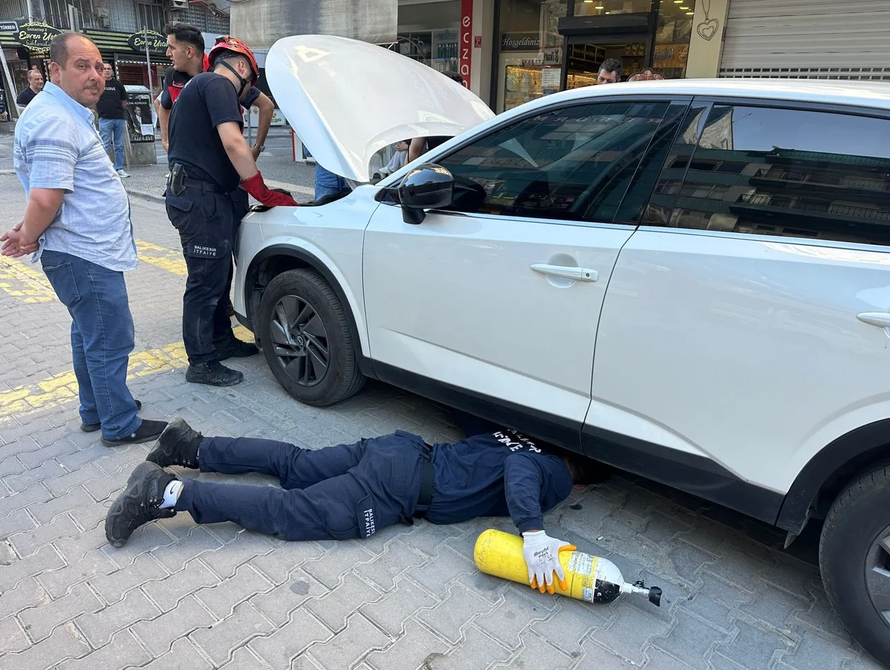 Edremit sokaklarında kedi kovalamacası