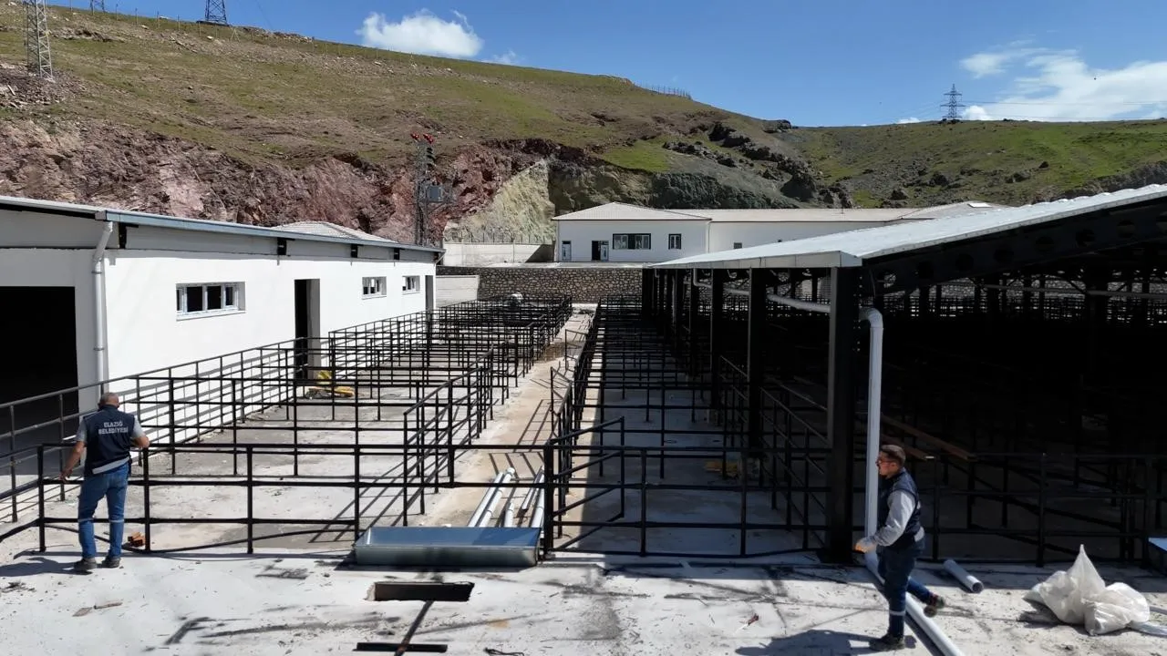 YAKLAŞAN KURBAN BAYRAMI ÖNCESİNDE ELAZIĞ’DA YENİ OLUŞTURULAN KURBAN SATIŞ VE KESİM ALANINDA HAZIRLIK ÇALIŞMALARI BAŞLADI