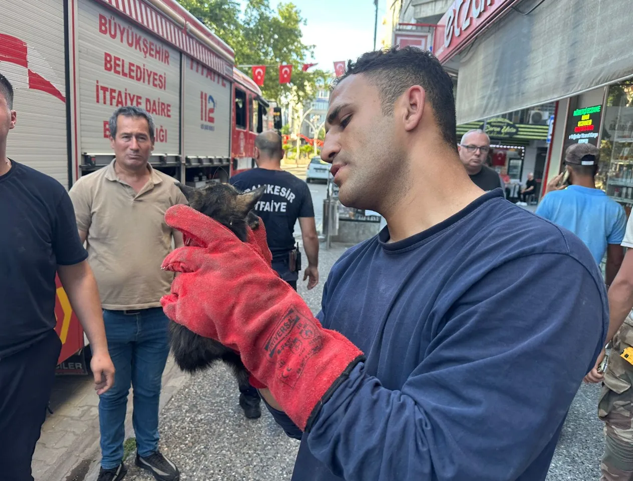 Edremit sokaklarında kedi kovalamacası