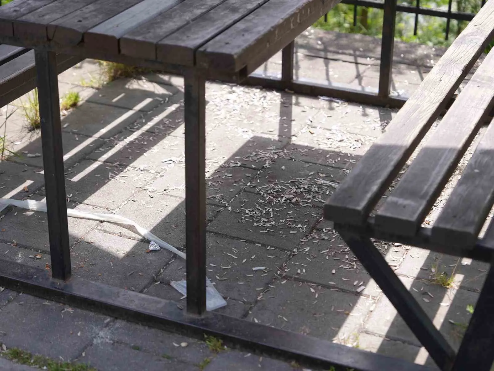 DÜZCE BELEDİYESİ, ORTAK KULLANIM ALANLARINDA VE ÖZELLİKLE PARKLARDA TEMİZLİK ÇALIŞMALARINI ARALIKSIZ SÜRDÜRÜRKEN SON OLARAK MELEN SU PARK PİKNİK ALANLARINDA KAYDEDİLEN GÖRÜNTÜLER İZLEYENLERİ HEM ÜZDÜ HEM DE KIZDIRDI.