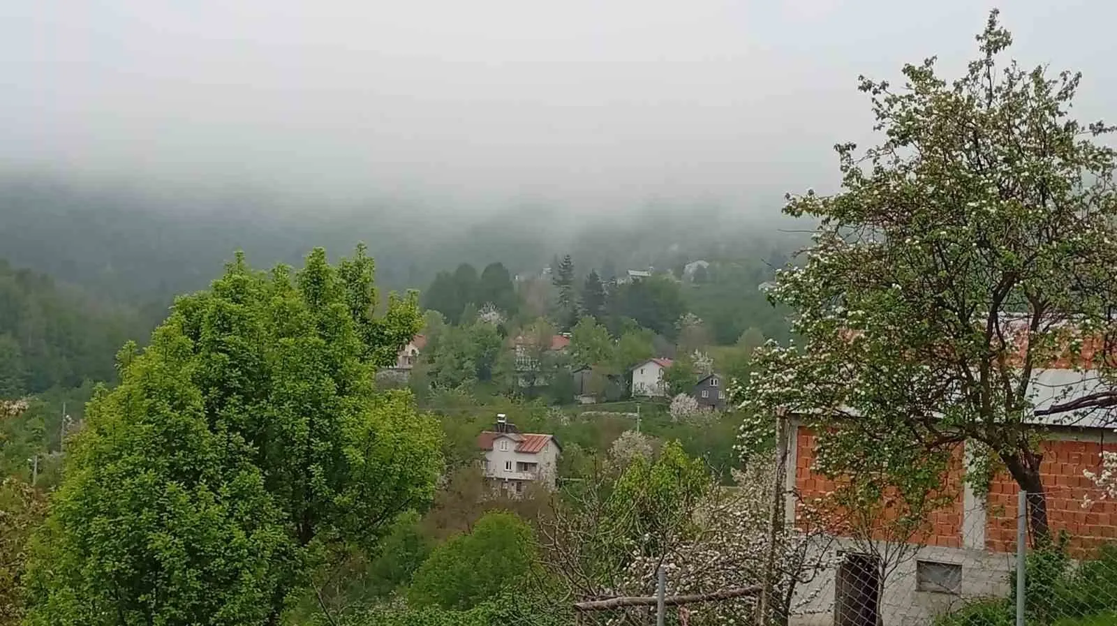 SAKARYA'NIN HENDEK İLÇESİNDE YÜKSEK RAKIMLI BÖLGELERDE BAHARIN GELİŞİ VE ETKİLİ OLAN SİSLE BİRLİKTE GÜZEL MANZARALAR OLUŞTU.