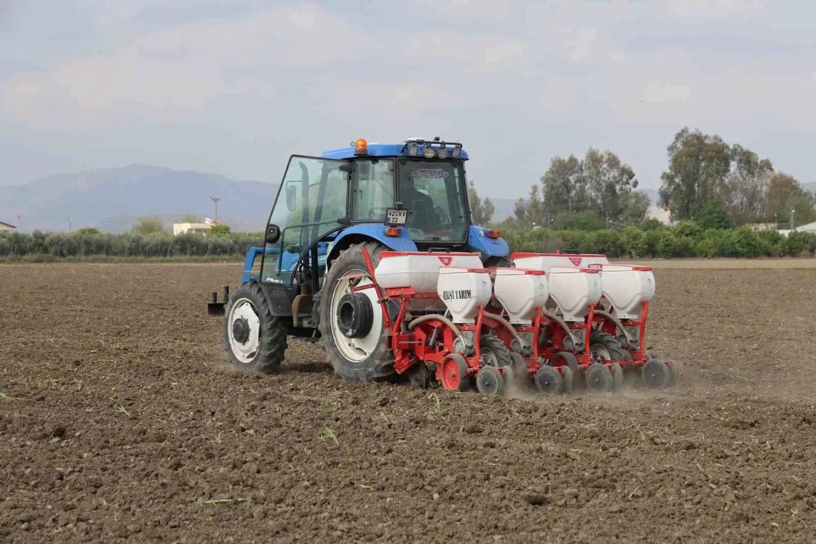 DOLU NEDENİYLE ZARAR GÖREN MISIR TARLALARINI SÖKMEYE BAŞLAYAN ÜRETİCİLER, SEZONU KURTARABİLMEK İÇİN ARAZİLERİNE AYÇİÇEĞİ EKMEYE BAŞLADI.