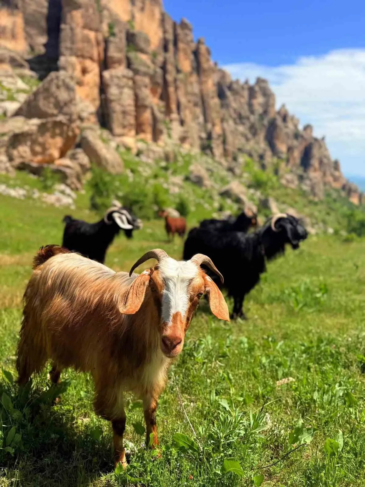 DOĞA VE TARİHİ GÜZELLİKLERİ İLE İSMİNDEN SÖZ ETTİREN DİYARBAKIR’IN ÇERMİK İLÇESİ, TURİST AĞIRLAMAYA DEVAM EDİYOR.