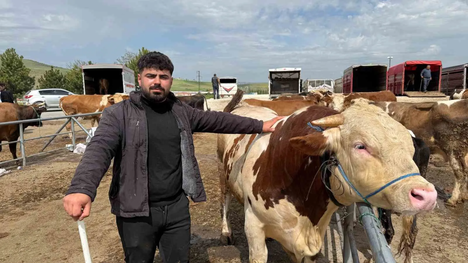 YOZGAT'IN HAYVANCILIK MERKEZLERİNDEN BİRİ OLAN SORGUN İLÇESİNDE, YAKLAŞAN KURBAN BAYRAMI ÖNCESİ KURULAN HAYVAN PAZARINDA HAREKETLİ DAKİKALAR YAŞANDI.-