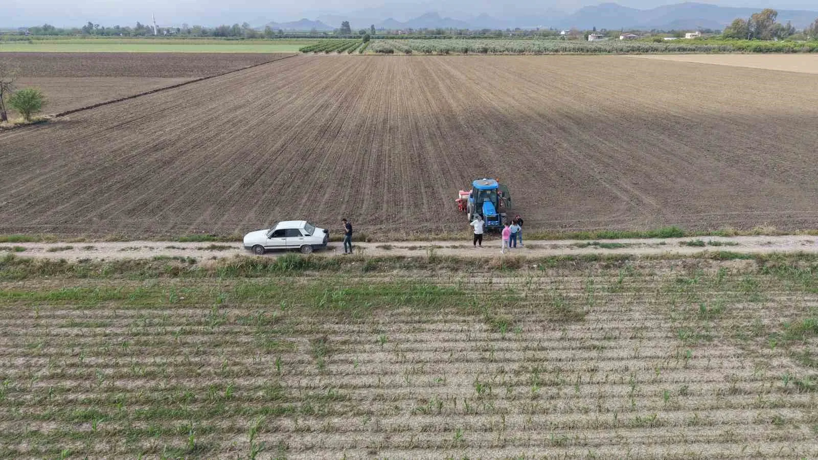 DOLU NEDENİYLE ZARAR GÖREN MISIR TARLALARINI SÖKMEYE BAŞLAYAN ÜRETİCİLER, SEZONU KURTARABİLMEK İÇİN ARAZİLERİNE AYÇİÇEĞİ EKMEYE BAŞLADI.