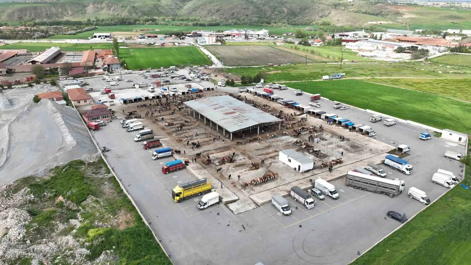 YOZGAT'IN HAYVANCILIK MERKEZLERİNDEN BİRİ OLAN SORGUN İLÇESİNDE, YAKLAŞAN KURBAN BAYRAMI ÖNCESİ KURULAN HAYVAN PAZARINDA HAREKETLİ DAKİKALAR YAŞANDI.-