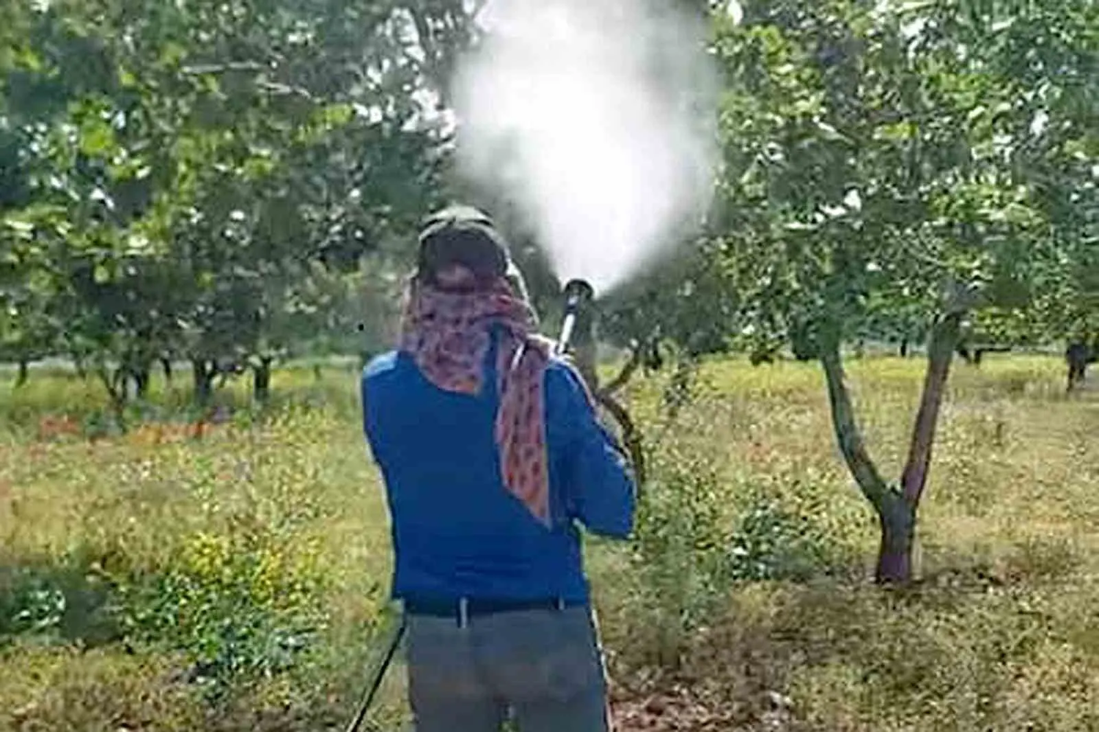 GAZİANTEP'İN ARABAN İLÇESİNDE ANTEPFISTIĞI ÜRETİCİLERİ, SONBAHAR, KIŞ VE İLKBAHARDA ETKİLİ OLAN YOĞUN YAĞIŞLARIN ARDINDAN FISTIK BAHÇELERİNDE OLUŞABİLECEK HASTALIK VE ZARARLILARA KARŞI İLAÇLI MÜCADELEYE BAŞLADI.